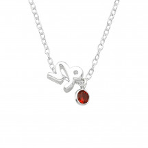 Shot of Capricorn Zodiac Sign - 925 Sterling Silver Jewelled Necklaces MS40157